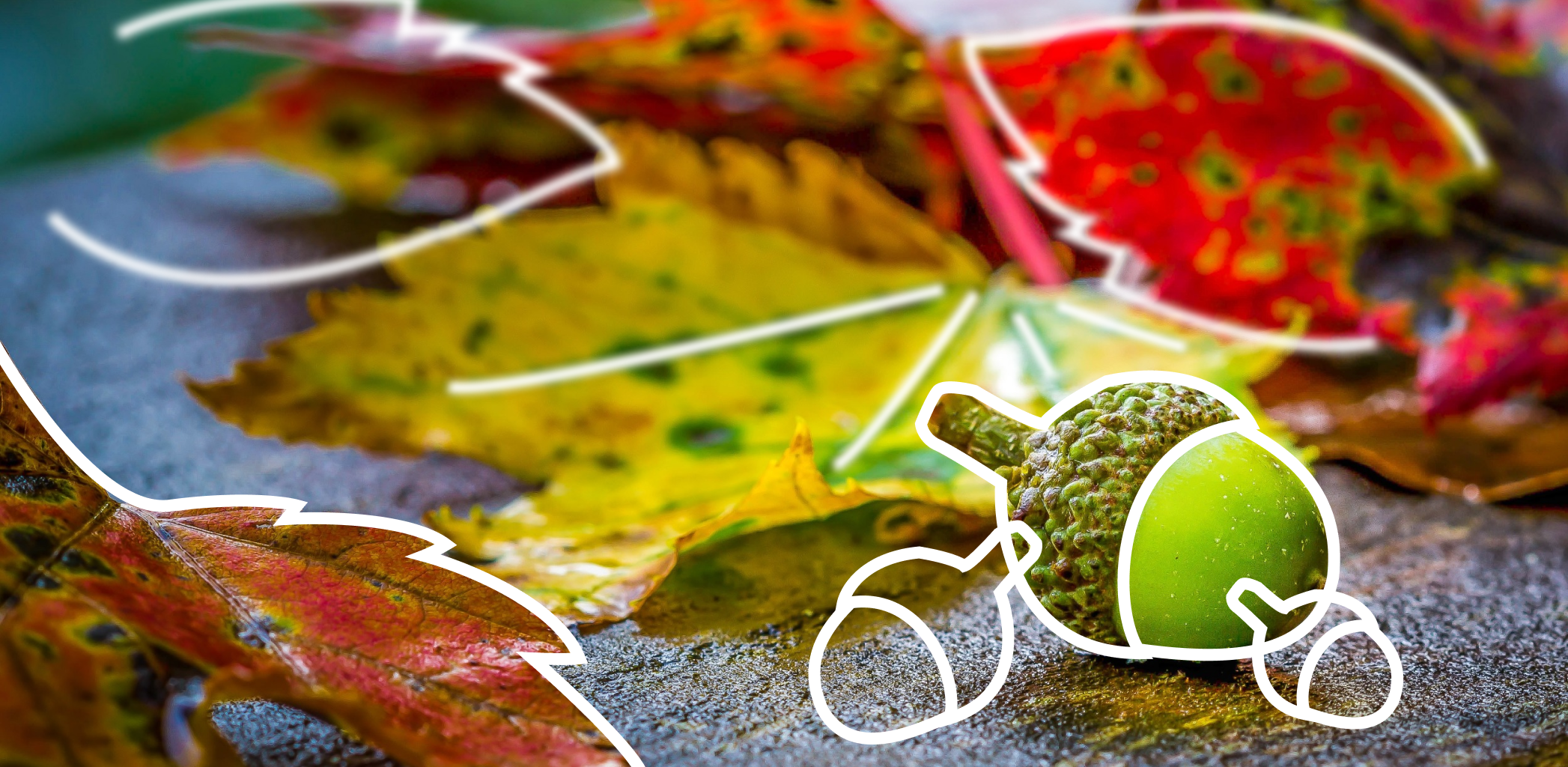 Чек-лист: что нужно успеть сделать в августе за городом